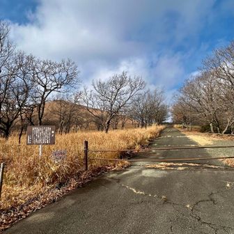 八丁原登山口
ここからスタート