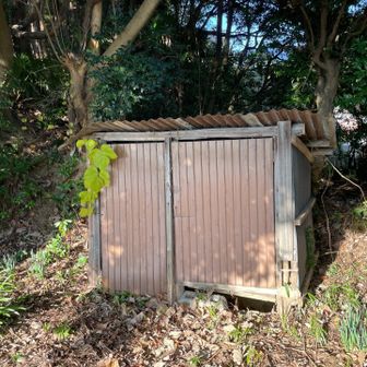 小屋の裏から山に入ると…