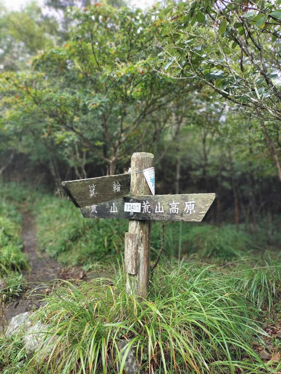 荒山高原登山口-荒山高原-荒山 往復コースの写真