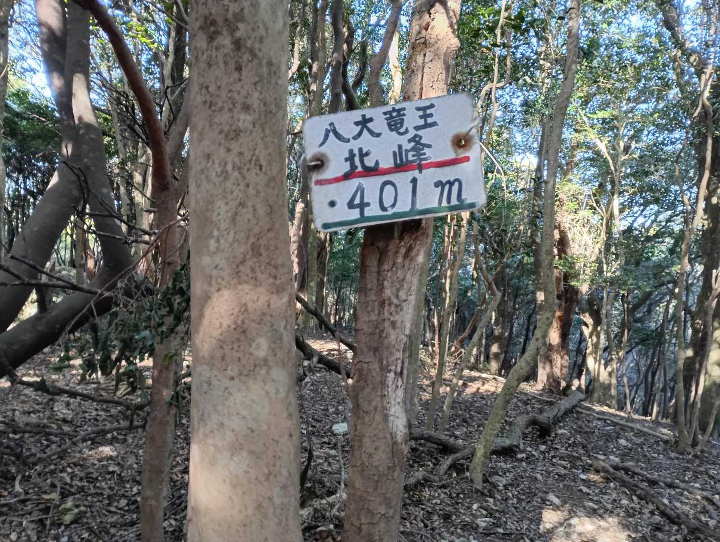 八大竜王北峰(401㍍)頂上🙌