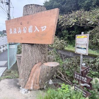 ここから山に入ります