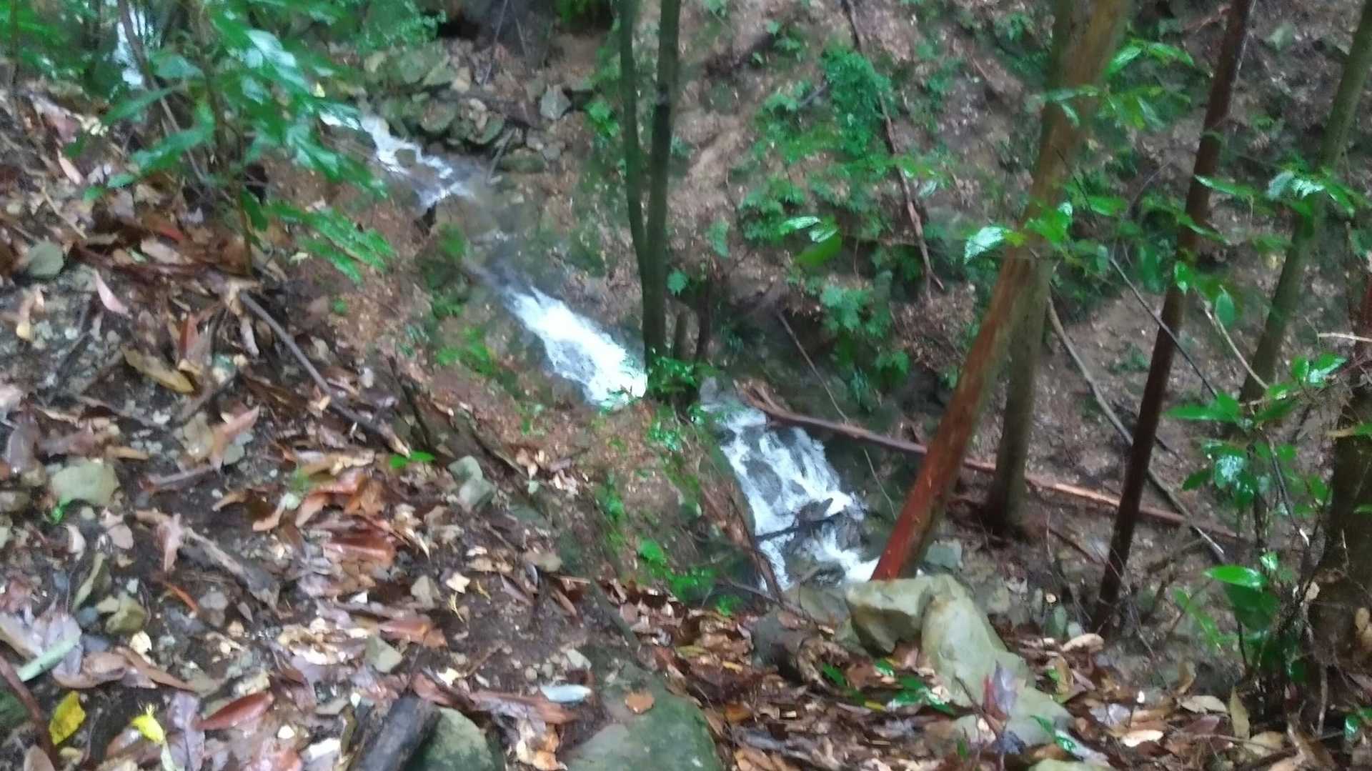 今日の雨はヤバそうですね～😅💦