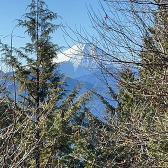 高畑山はやや気が多く視界が遮られ気味