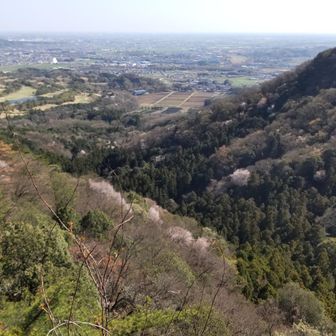 右奥、三毳山方面