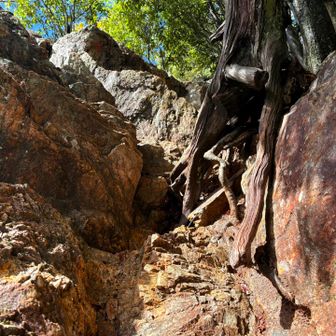 無理だよ、こんなとこ登れないよ😭