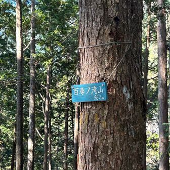 百尋ノ滝山山頂🇯🇵