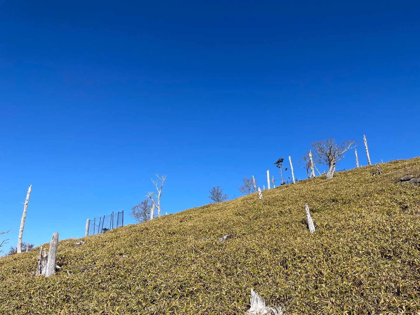 楽名山⛰️大台ヶ原山（日出ヶ岳） / nonchさんの大台ヶ原山・日出ヶ岳・大杉谷の活動データ | YAMAP / ヤマップ