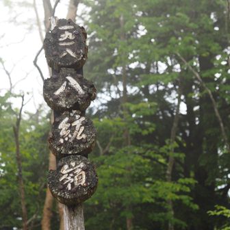 この看板シリーズ、各地にあるけど誰が立てたんだろう