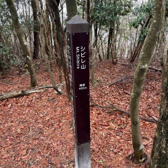 ここまでそんなに時間かからず来ましたな