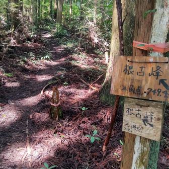 根古峰行ってみよっか！