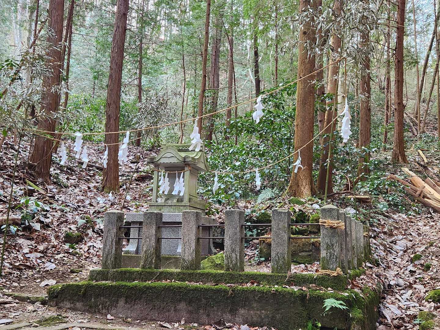 羽黒山 往復 | 歴史香る杉並木の参道と、雄大な関東平野を見渡す山頂の写真