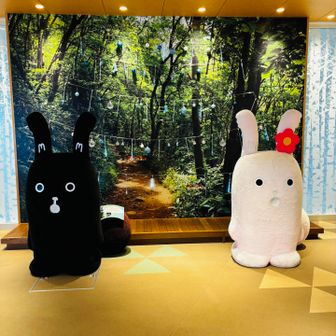 モーリスにこんにちは😃