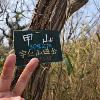 山頂プレート発見✌️