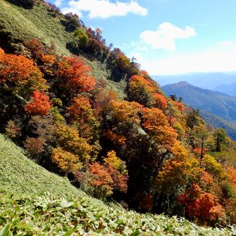 紅葉始まってます