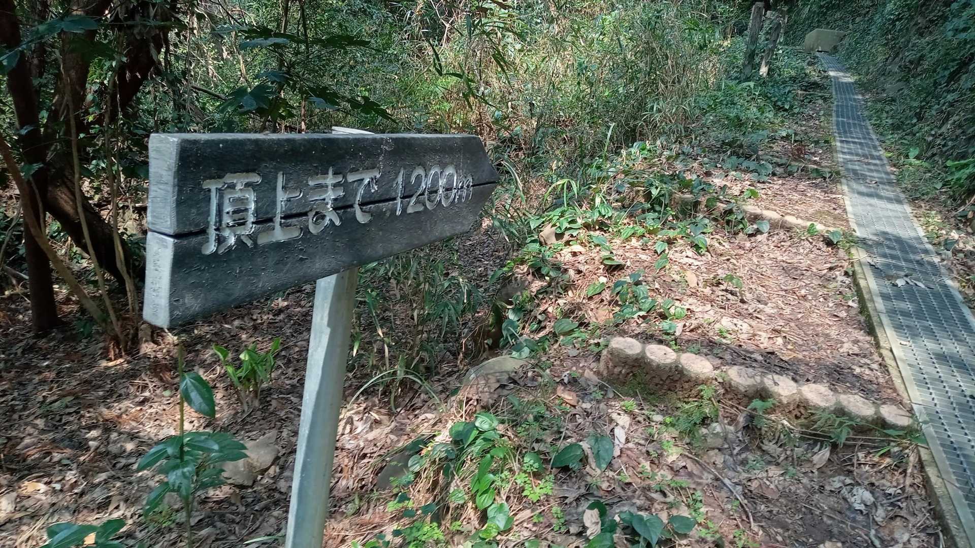 頂上まで1200m
200m刻みかな？