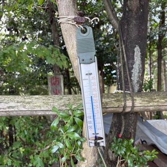 山頂は32℃くらい？
風は気持ちよかったです✨
