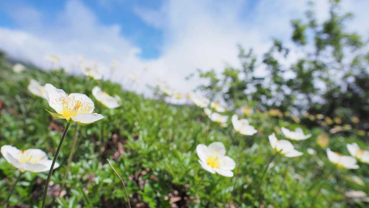 八甲田山（大岳・井戸岳・赤倉岳）／青森遠征Day2 の写真 35