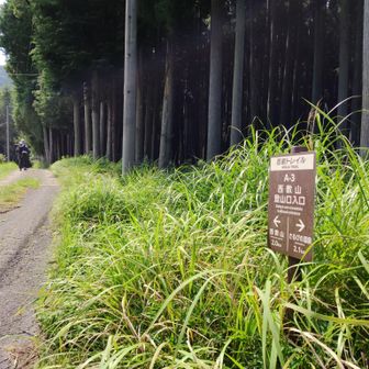 残暑厳しい真っ昼間🥵

痛めた左膝も、坐骨神経痛の右脚も、おまけに腰痛もなかなかスッキリ完治しないですが🤣

また一ヶ月ぶりの山歩💦
身体の様子みながら
初めての西教山行ってきます🚶‍♀️
