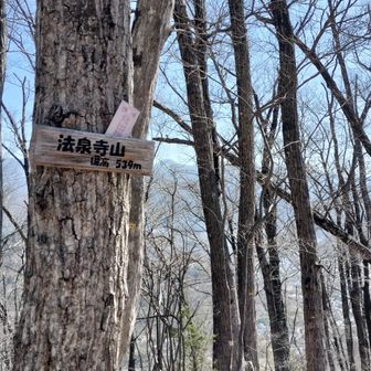 法泉寺山
木々に囲まれていて、展望はないと言っていい？
