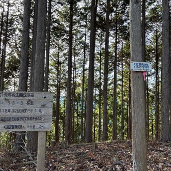 浅間嶺(小岩浅間)
903ｍ