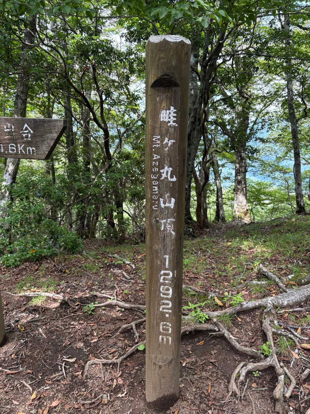 西丹沢ビジターセンターバス停-畦ヶ丸山 往復コースの写真