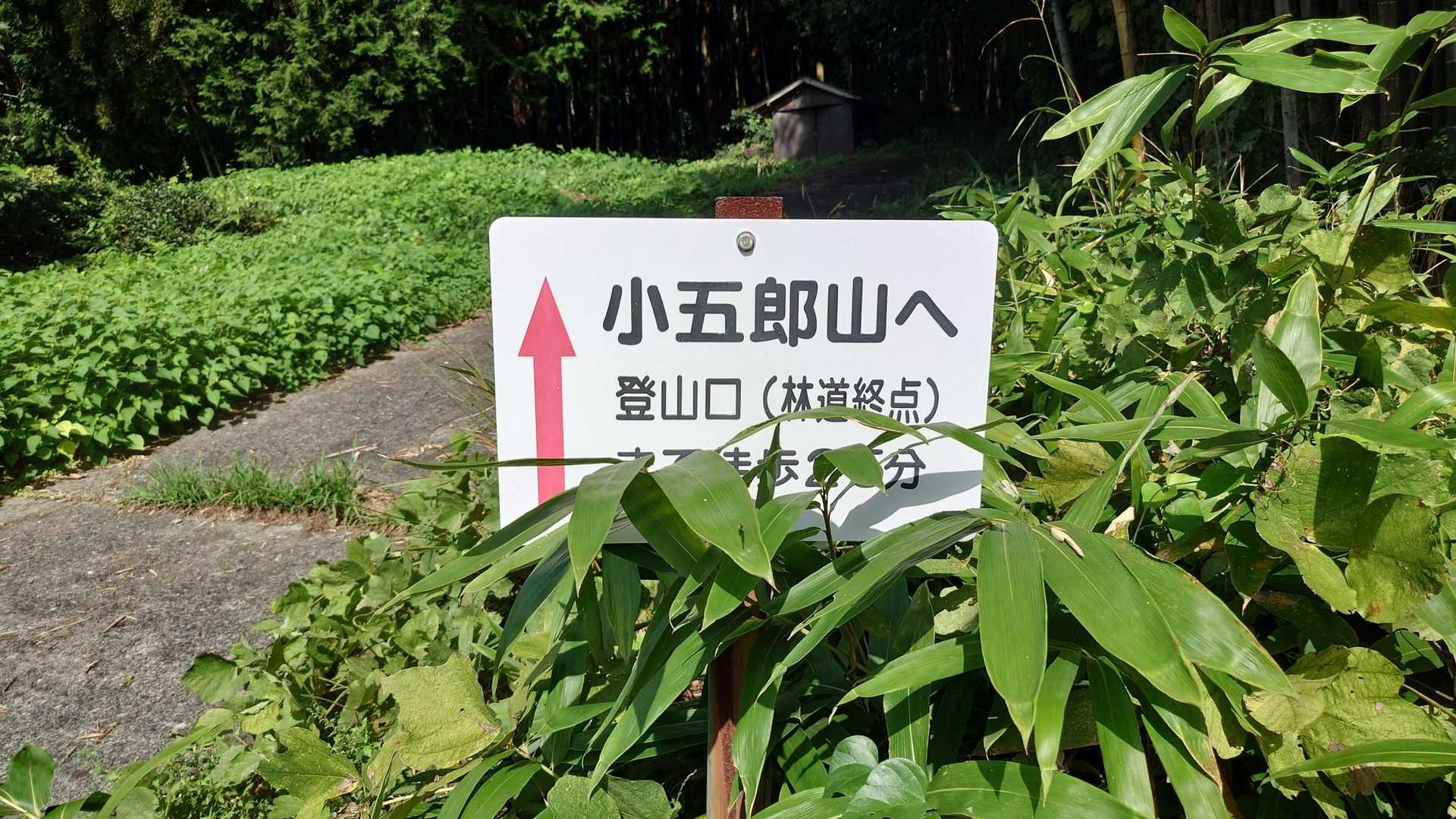 登山口迄結構歩きます。
