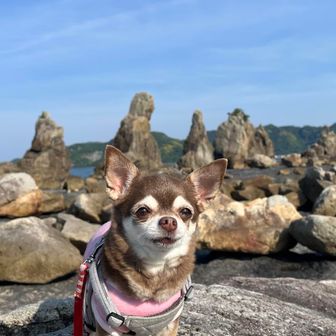 へなちょこ激遅夫婦