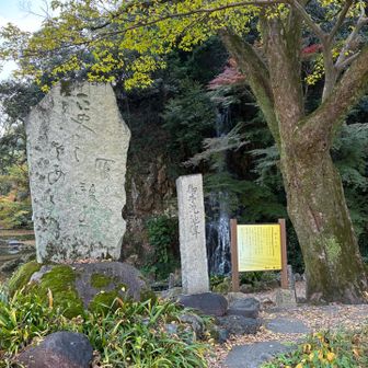 登り口付近に滝がありました