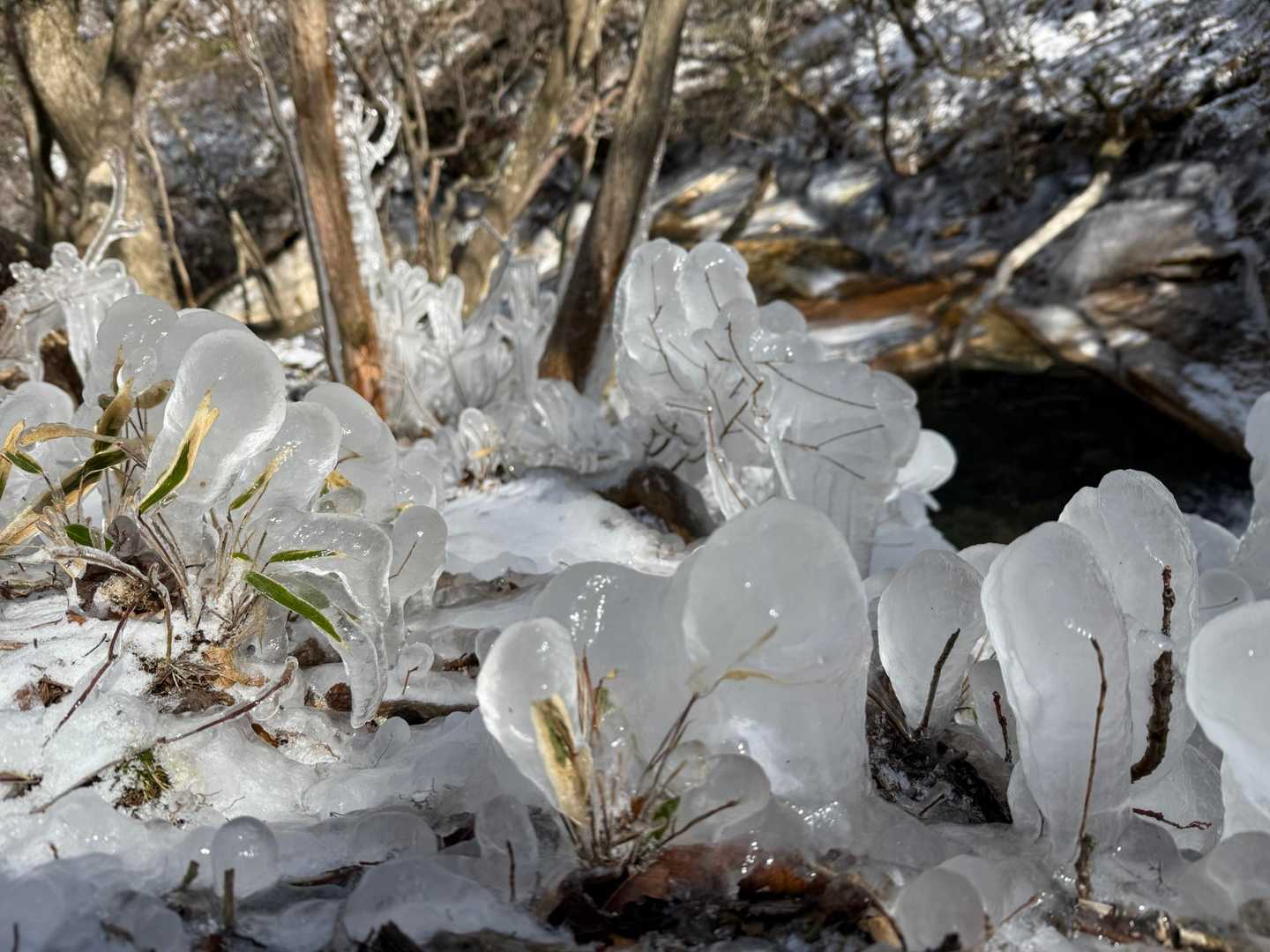 氷筍とはまた違う