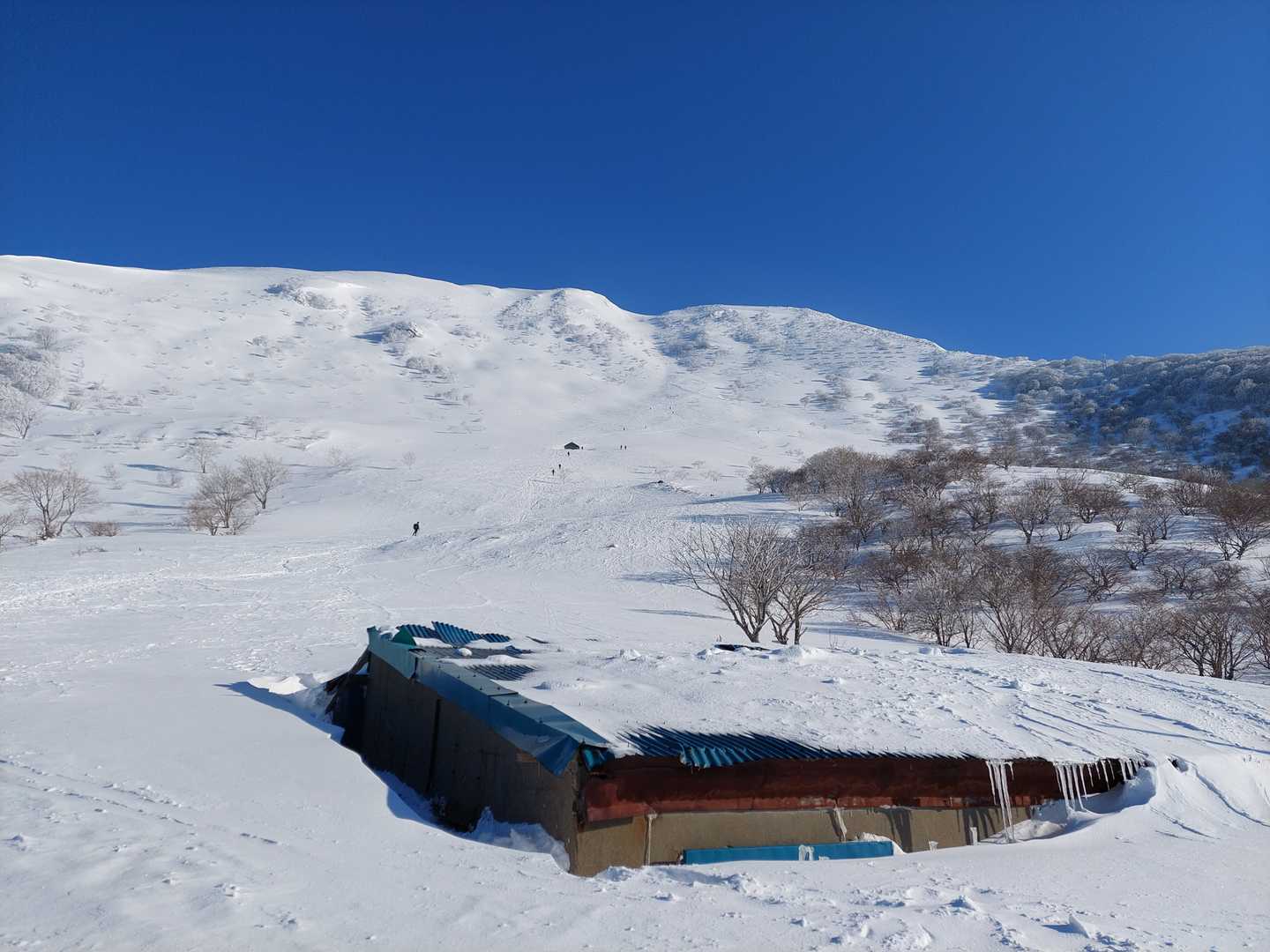 屋根。
ひしゃげてる訳ではない。。。