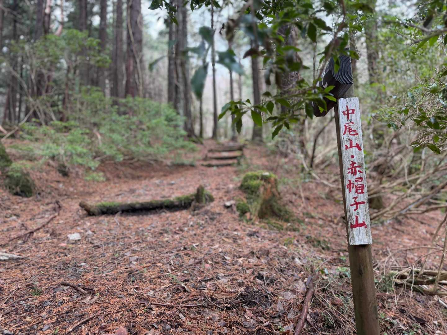 赤帽子遊歩道入口-中尾山 往復コースの写真