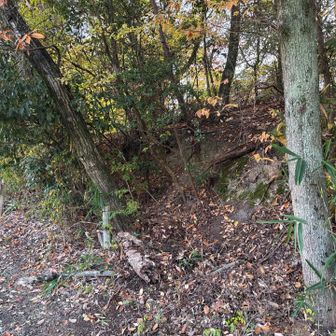 これが畠田古墳？