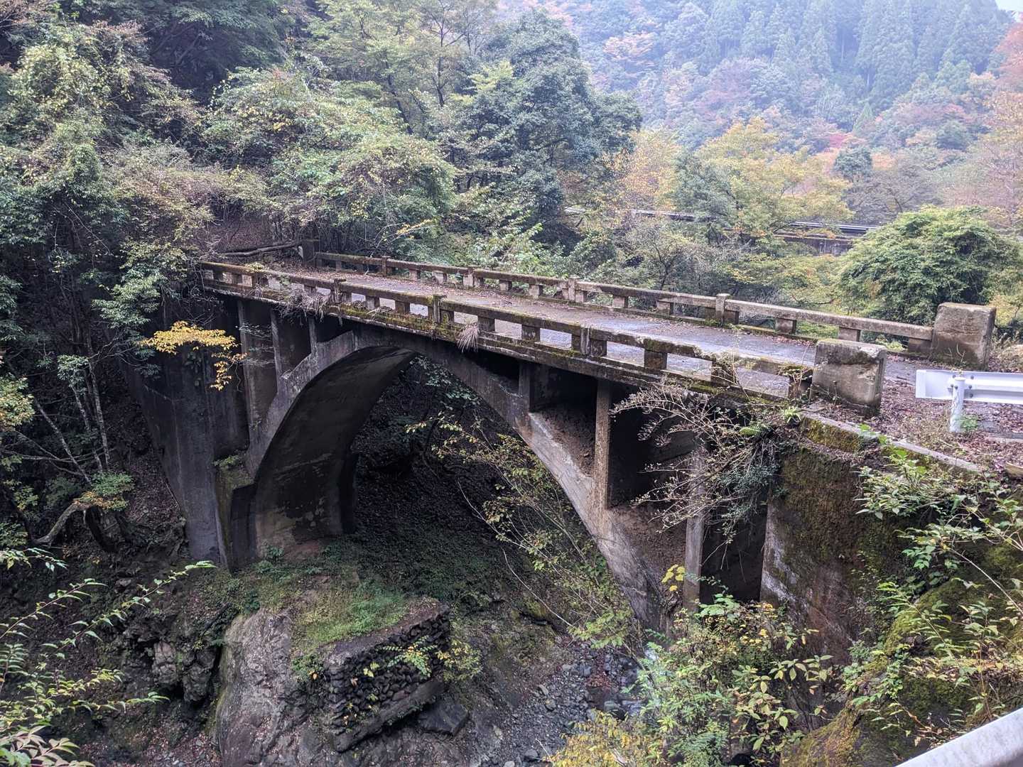 天王寺峠-モチゴヤノ頭-丹沢山 周回コースの写真