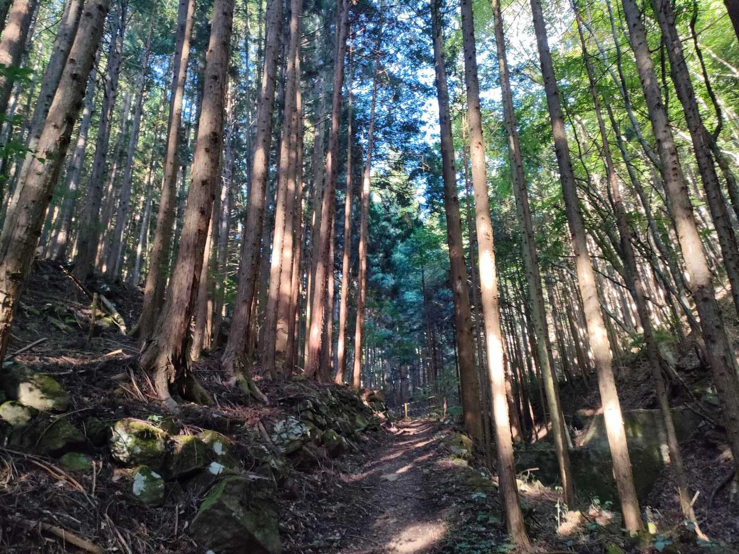 日本有数の渓谷美を誇る昇仙峡　最高峰・弥三郎岳からのパノラマも！の写真