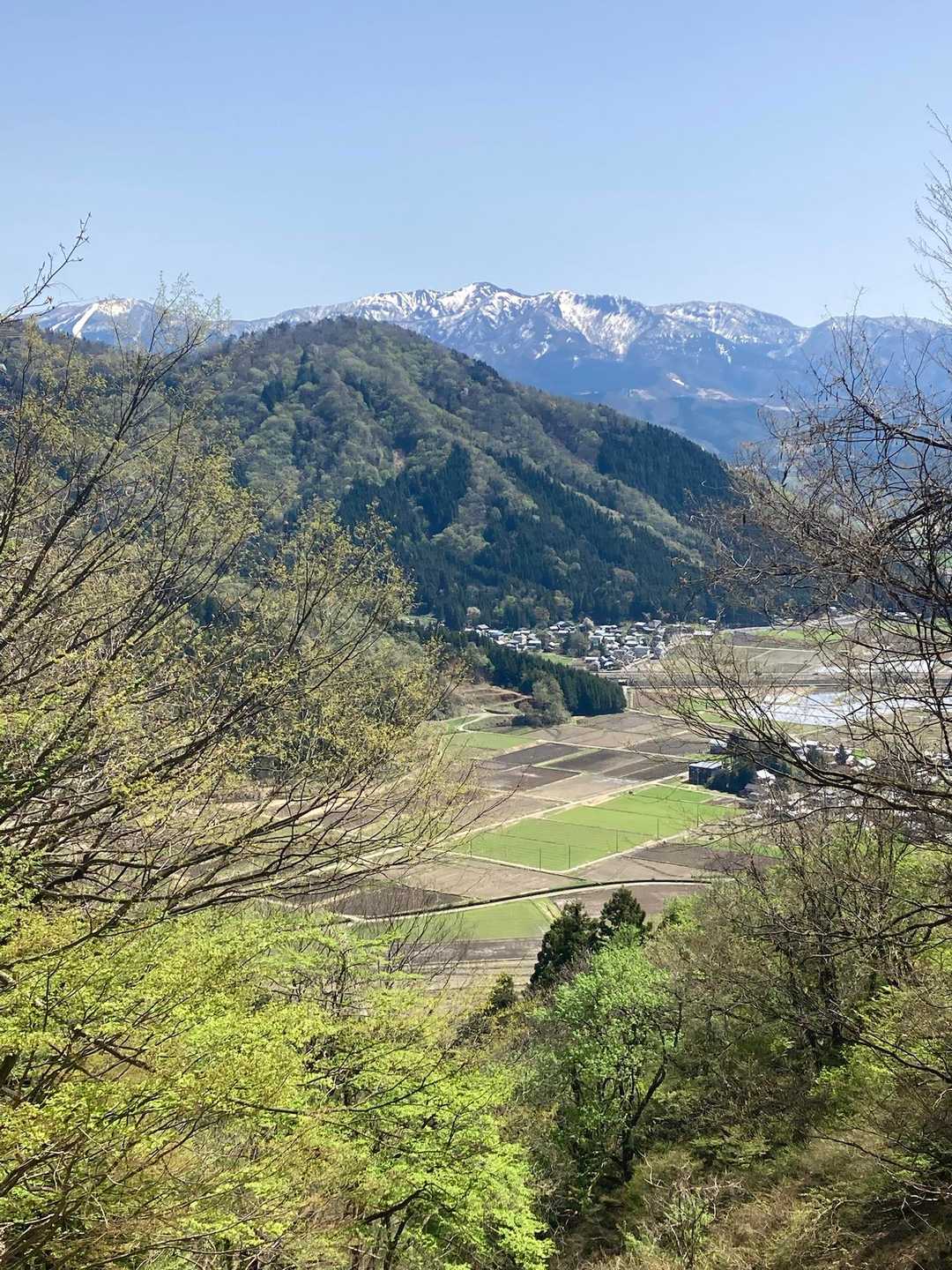 この景色見ながら、花をのぞいて歩く