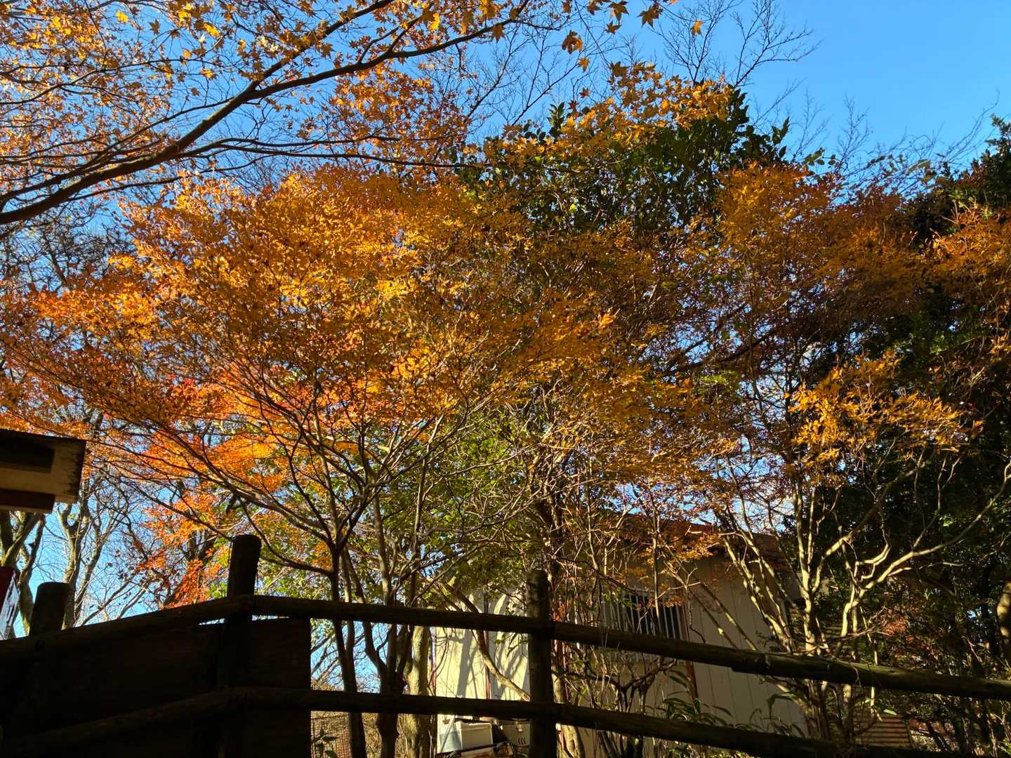 15. 金剛山の写真