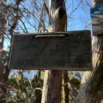 一ノ峰まで来ました💦
木々の間から🅿️が見えます👀