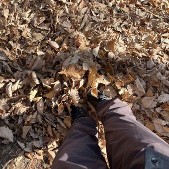 登る時は気にしてなかったけど､下山時は落ち葉で滑るので怖い:(´◦ω◦｀):
寝そべって布団みたいに潜れるくらいの深さです🍂