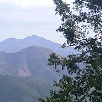 山やり始めの頃に登った黒井城跡が見える(ズーム)

亀の座まで来て良かった
丹波市は高速でも一般道でも良く通るから地形がより分かる