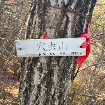 17　穴虫山　さぞかし夏場は虫がたくさんいるのだろうなぁ　冬でよかった