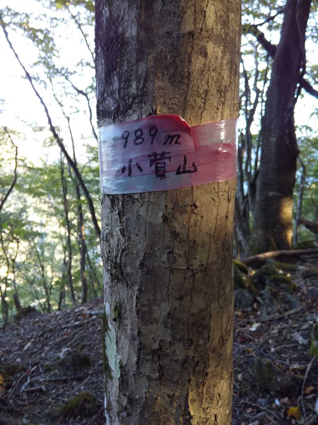 小菅山山頂標識