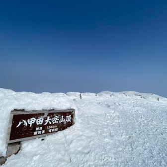 去年はあんなに来てたのに
今年は初
