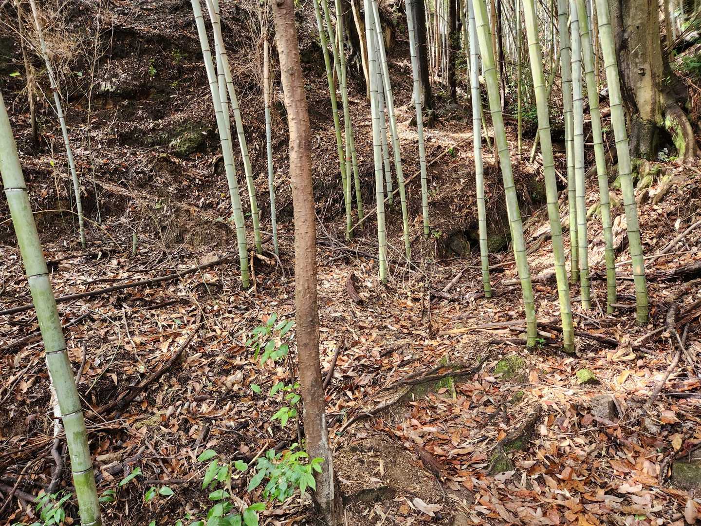 登山開始