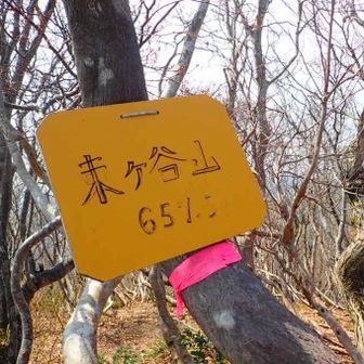 東の字が上手く消えてて末ヶ谷山に見えるし〜😆