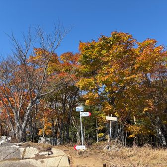 帰り道、紅葉の白谷ノ丸通過
