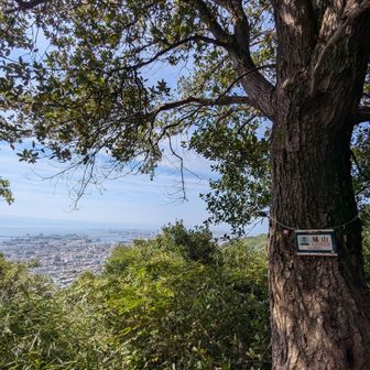 城山、登頂！