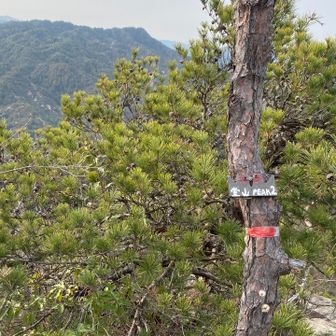 堂山ピーク2の背景は堂山