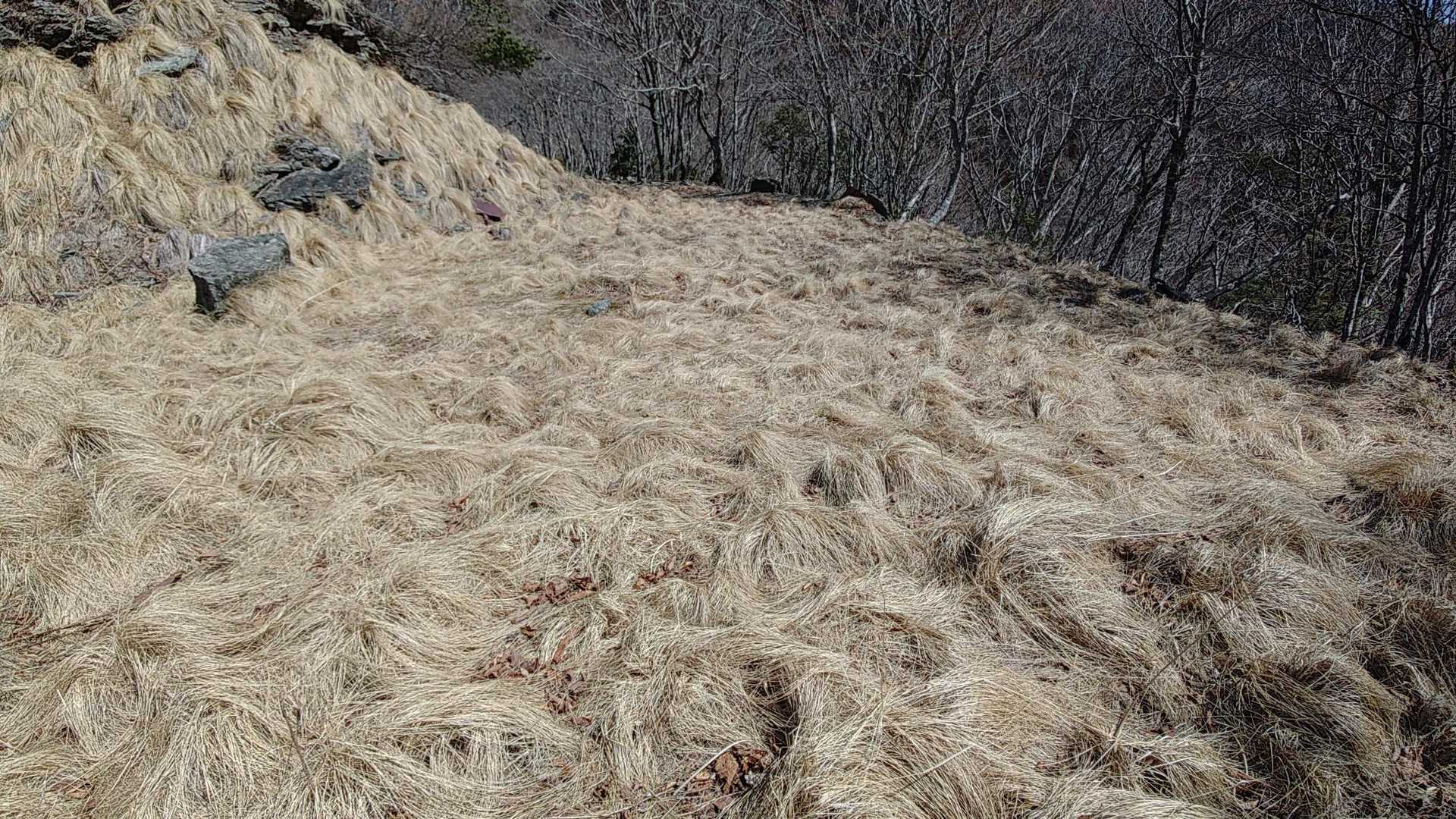 岩宇土山登山口-岩宇土山-上福根山 縦走コースの写真