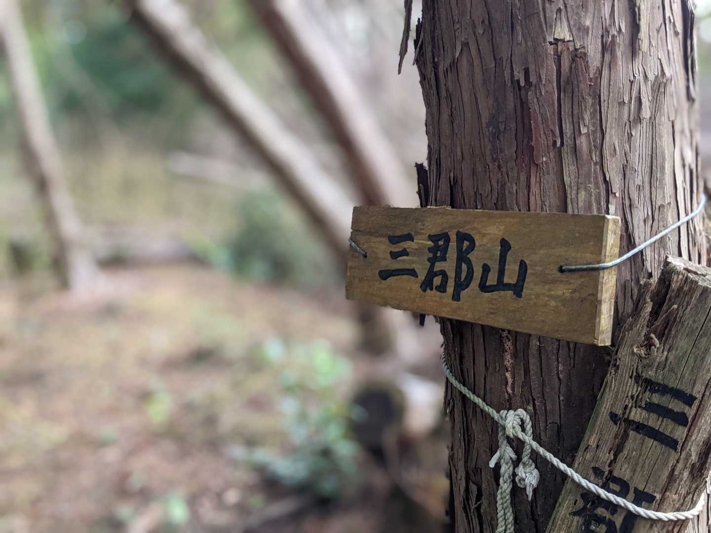 現君津市、富津市、鴨川市の境界なので三郡山
ですが、全く眺望無いのです(^^;