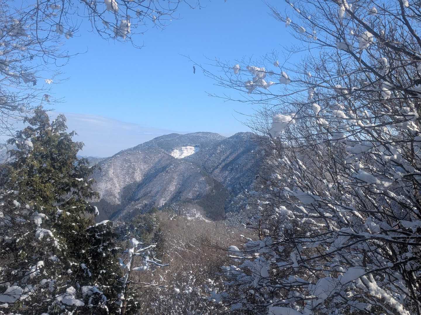 　　振り返ってみた